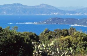 punta_castagna_ajaccio260_38