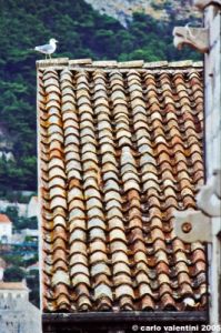 dubrovnik375_31