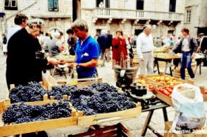 dubrovnik376_01