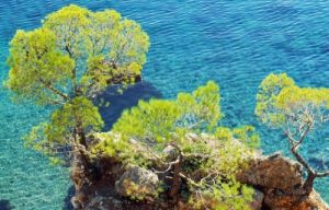 makarska_riviera371_42
