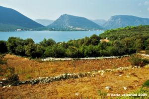 ston372_28