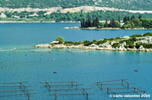 ston372_37