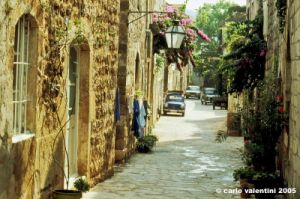 ston372_49