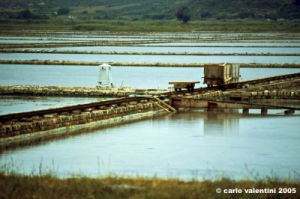 ston373_09