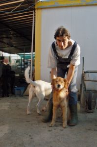 cani_canile018_040612