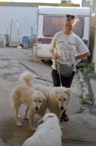 cani_canile022_040612