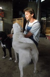cani_canile026_040612