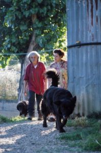 cani_canile028_040612