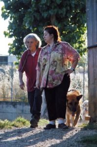 cani_canile029_040612