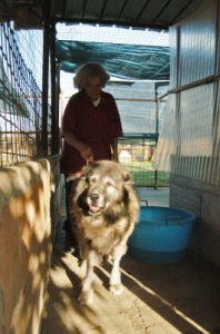 cani_canile032_040612