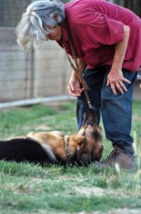 cani_canile051_040612