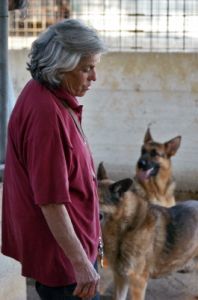cani_canile068_040612