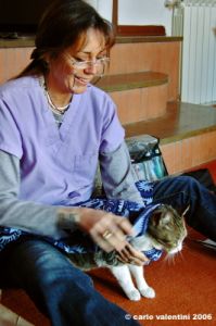 dentista_animali105