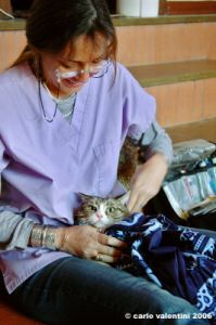 dentista_animali116