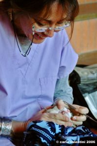 dentista_animali119