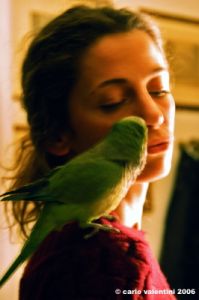pappagallo2_060211