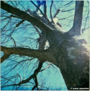 pola_880328b