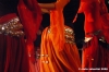 danza_ventre06