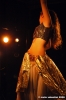 danza_ventre24