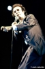 roberto_benigni663_47