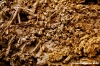 cioccolato_rivoire31