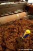 cioccolato_rivoire54