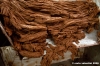 cioccolato_rivoire59
