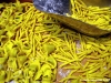 fiera_cioccolato009