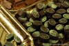 fiera_cioccolato01