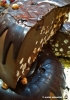 fiera_cioccolato012