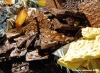 fiera_cioccolato013