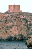 comino005