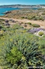 comino_laguna_blu004