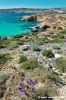 comino_laguna_blu007