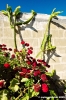 comino_laguna_blu033