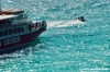 comino_laguna_blu044