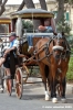 malta_mdina001