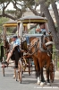 malta_mdina002