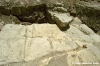 malta_mdina126