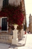 malta_mdina142
