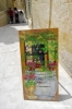 malta_mdina157