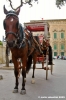 valletta_barrakka14
