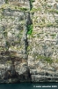 gozo_dwejra_bay009