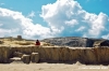 gozo_dwejra_bay042