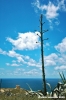gozo_dwejra_bay111