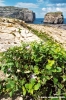 gozo_dwejra_bay129