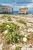 gozo_dwejra_bay131