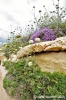 gozo_dwejra_bay144