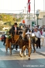 gozo_fontana128