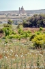 gozo_ggantija010
